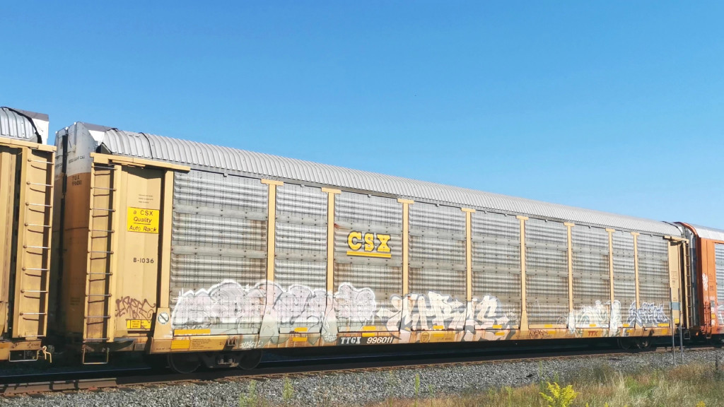 CSX B1036 (Body) TTGX 996011 (Flat)